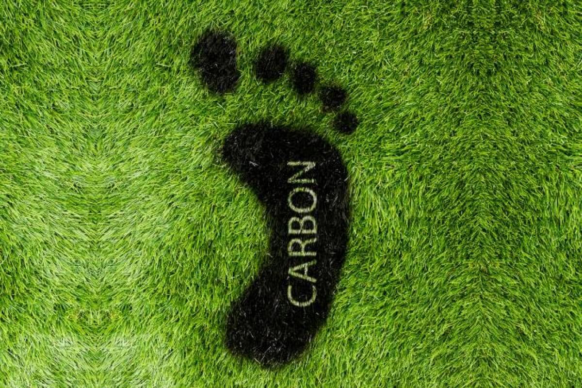 What is your “carbon footprint” size? - Smart External Blinds with Solar Panels - Renewable Energy Solutions (EN)